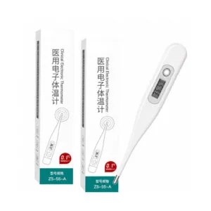Electronic Thermometer